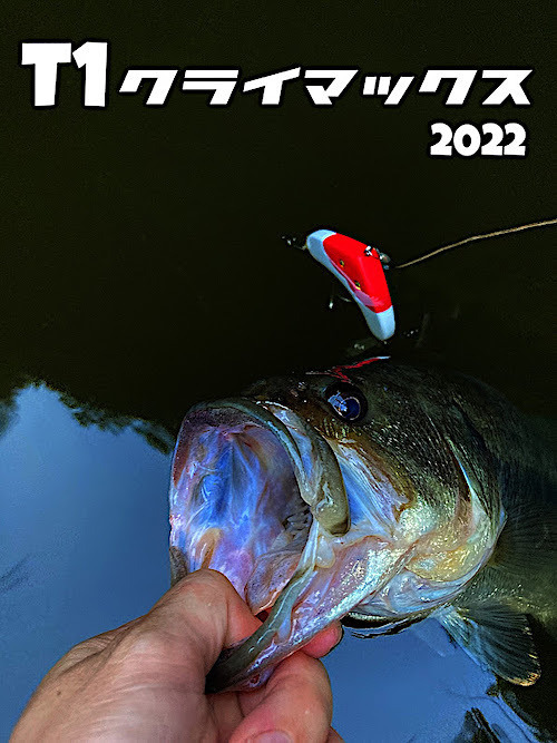 723.jpg
