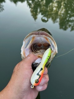 PROPAGANDA: Record Life