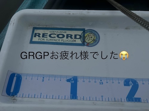 irt5233.jpeg
