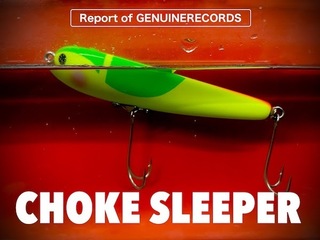 Record Life